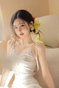 <b>中方曾经对法国、、意大利、荷兰、西班牙、、</b>